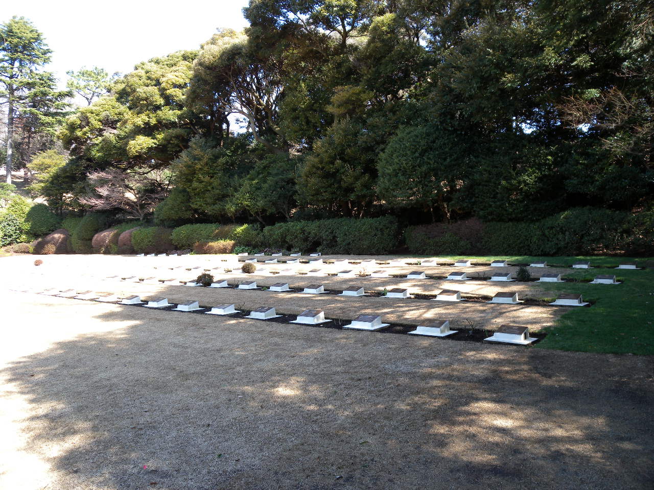 Canadian Section  - Plot B.JPG